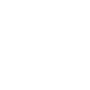 Brain wh